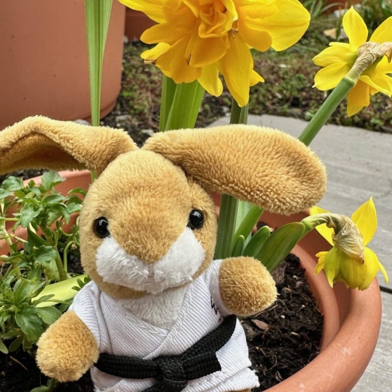 Frohe Ostern wünscht Euch der Vorstand.